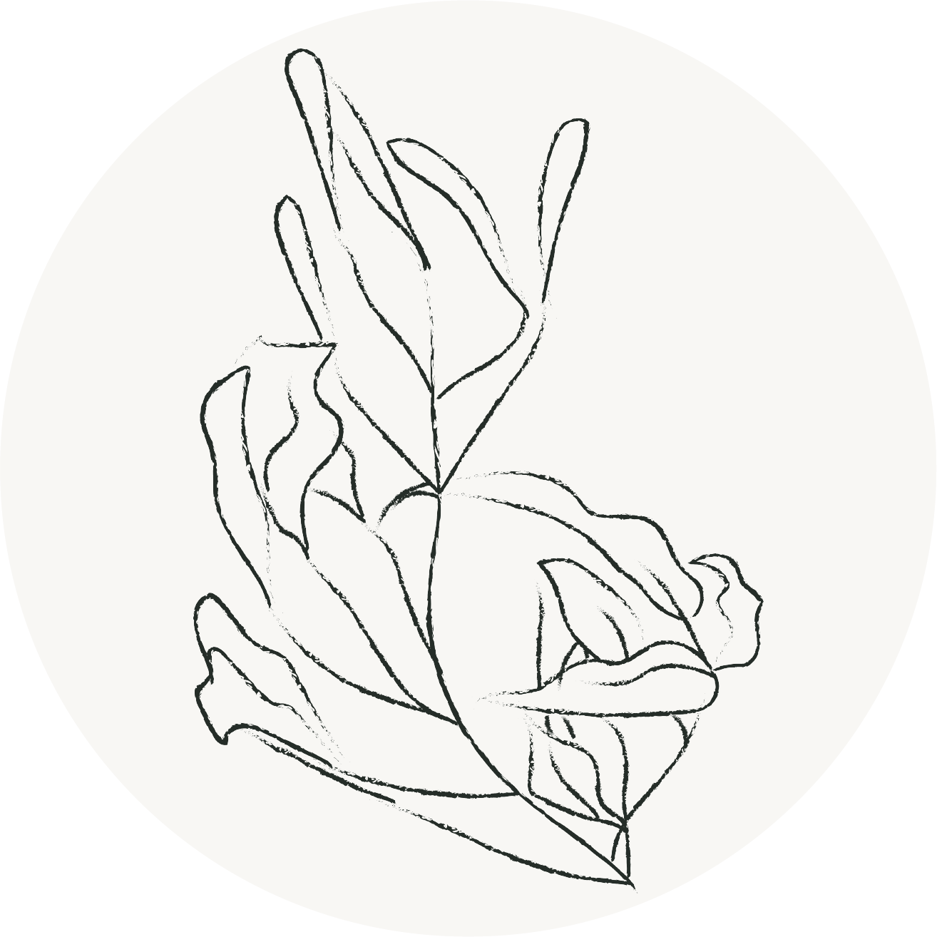 Flower 4 icon